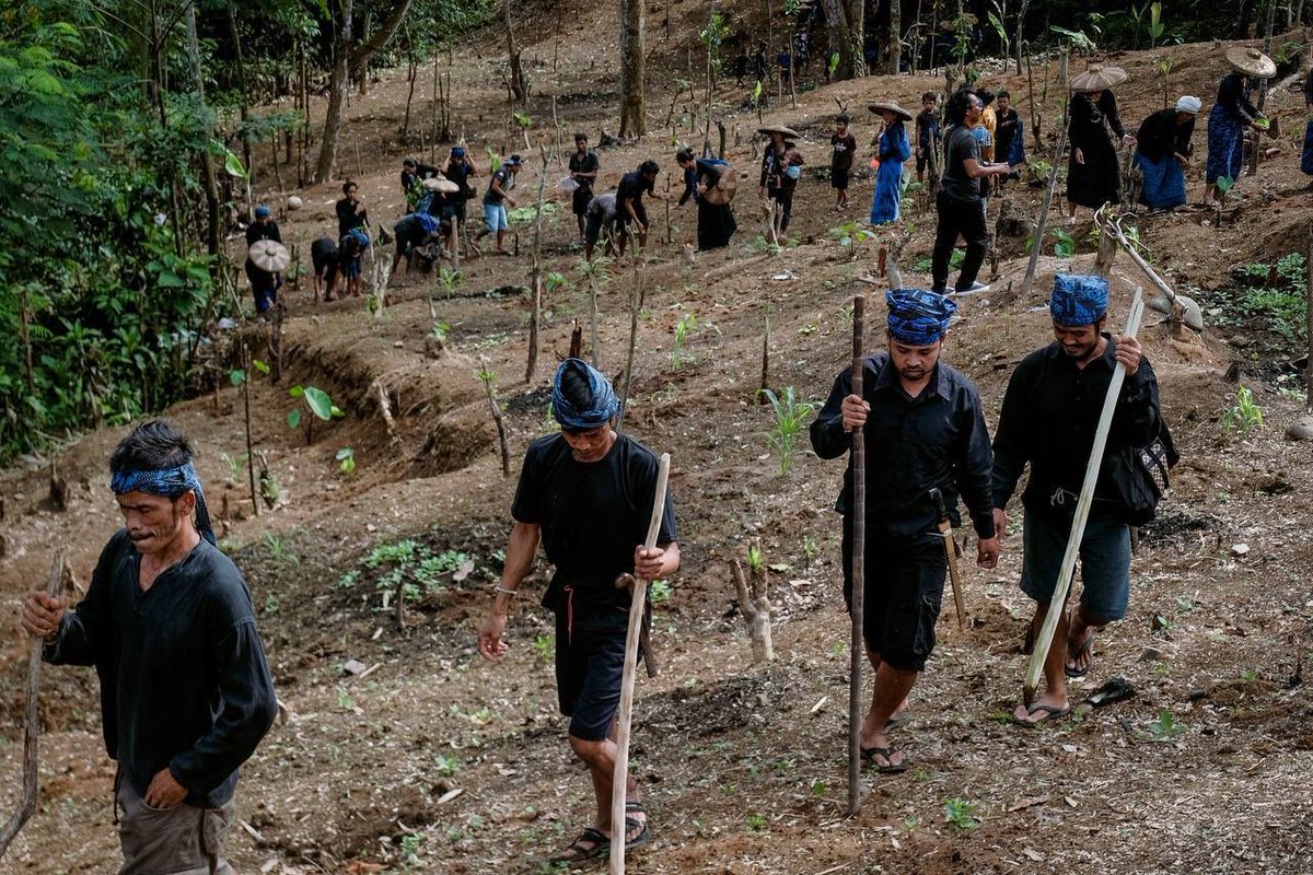 Lembaga Adat Baduy Tolak Dana Desa Rp 2,5 Miliar, Pilih Mandiri Bangun Desa